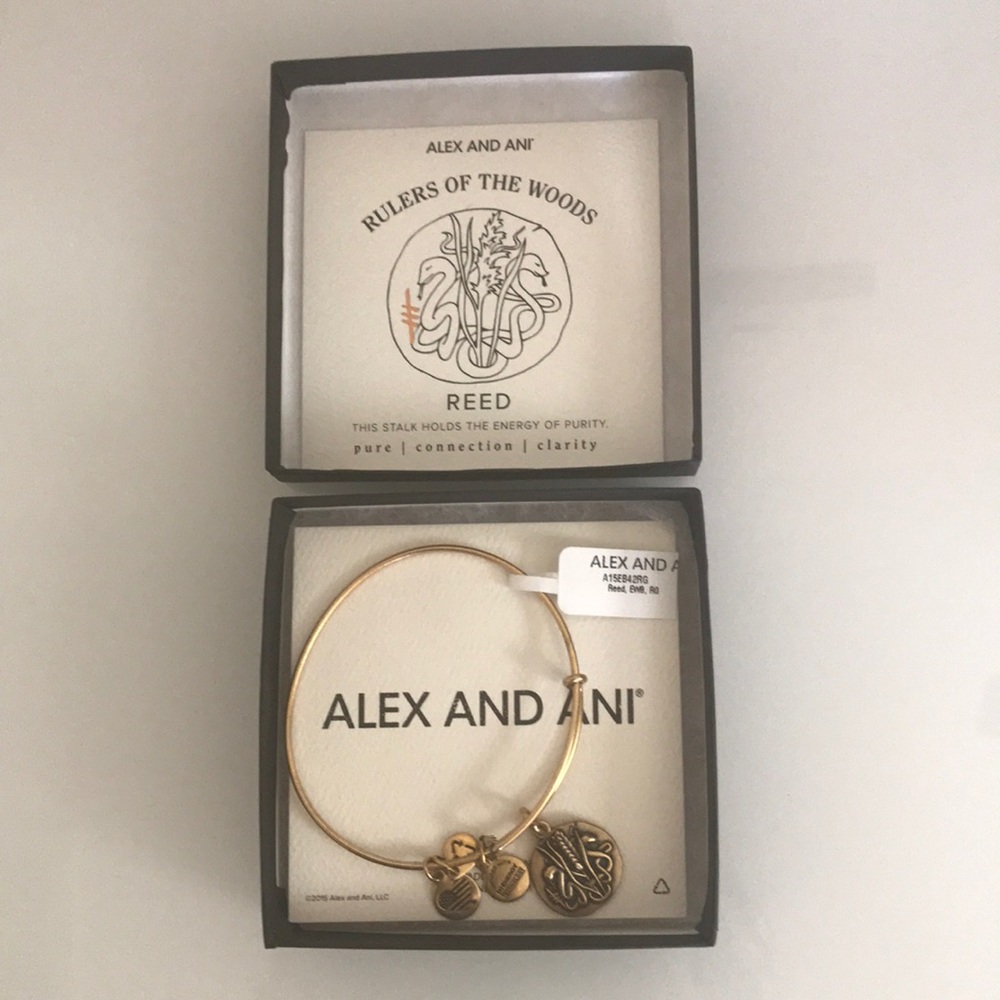 ALEX AND ANI Bangle bracelet